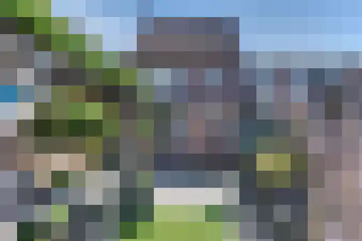 Van Schendelstraat 21 Harderwijk thumbnail 4