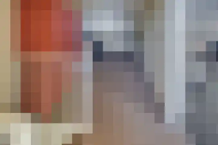 Van Schendelstraat 21 Harderwijk thumbnail 43