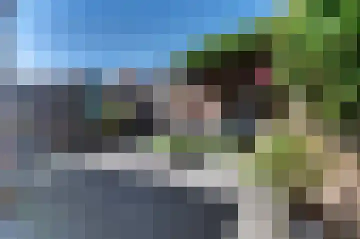 Van Schendelstraat 21 Harderwijk thumbnail 44