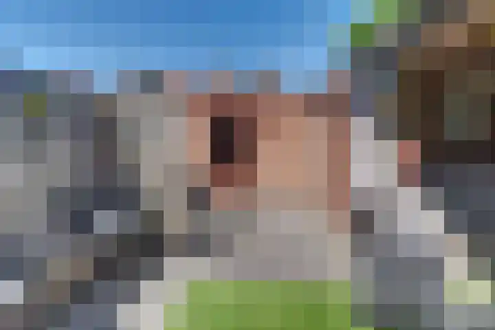 Van Schendelstraat 21 Harderwijk thumbnail 47