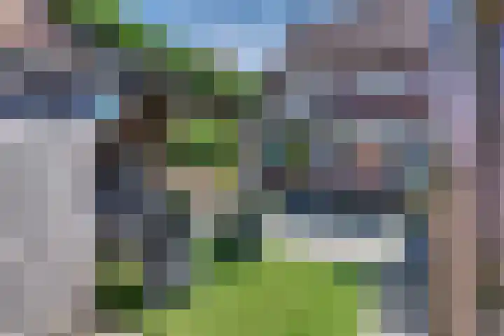 Van Schendelstraat 21 Harderwijk thumbnail 48