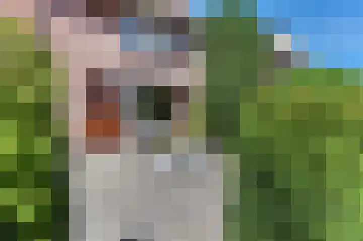 Van Schendelstraat 21 Harderwijk thumbnail 7