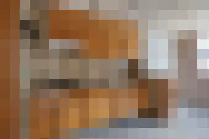 Van Schendelstraat 22 Harderwijk thumbnail 11
