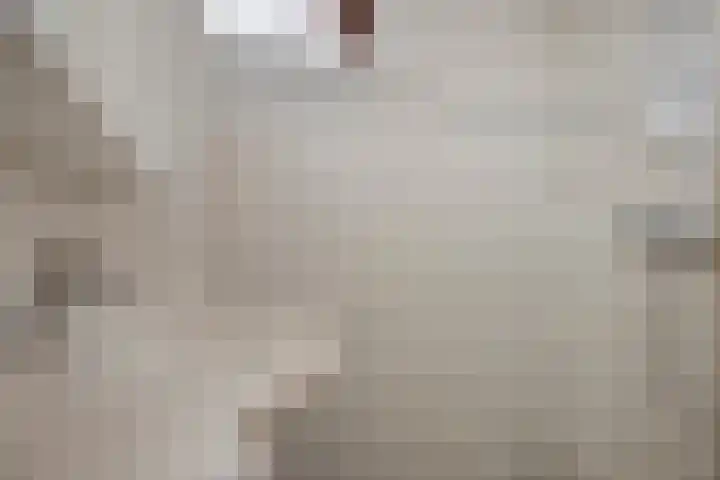Van Schendelstraat 22 Harderwijk thumbnail 20