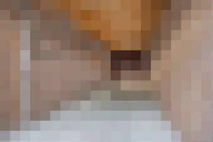 Van Schendelstraat 22 Harderwijk thumbnail 28