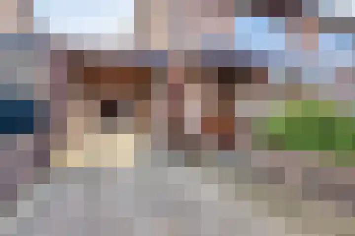Van Schendelstraat 22 Harderwijk thumbnail 29