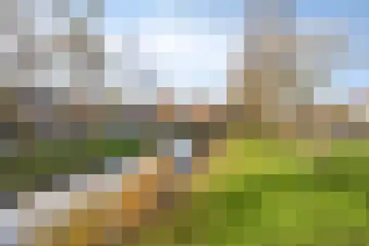 Van Schendelstraat 22 Harderwijk thumbnail 32
