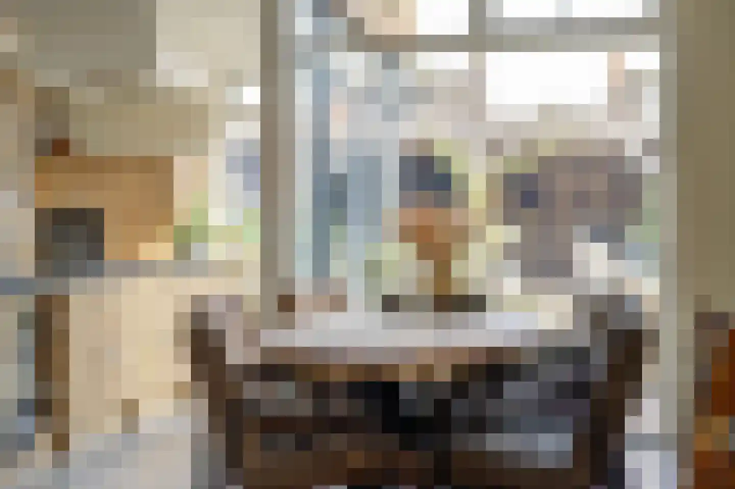 van Schendelstraat 4 Zegge thumbnail 12