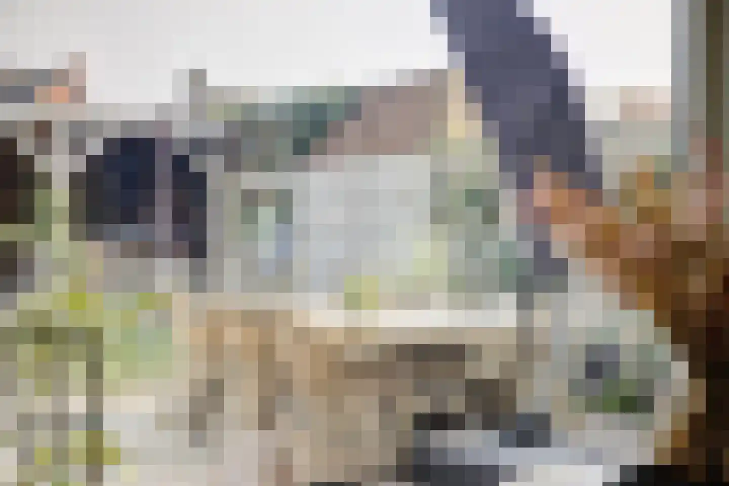 van Schendelstraat 4 Zegge thumbnail 13