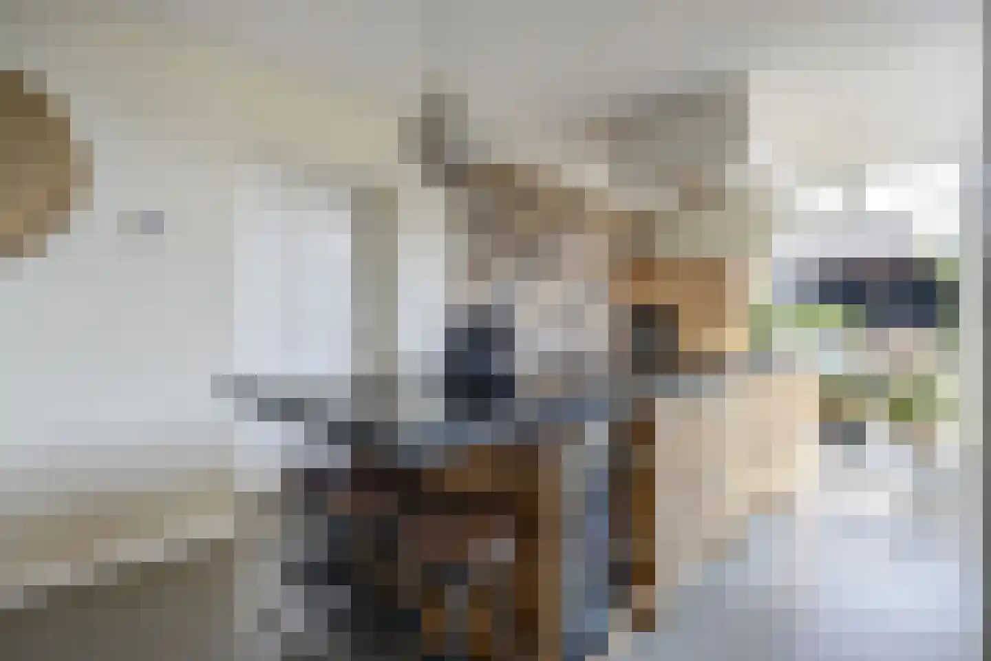 van Schendelstraat 4 Zegge thumbnail 15