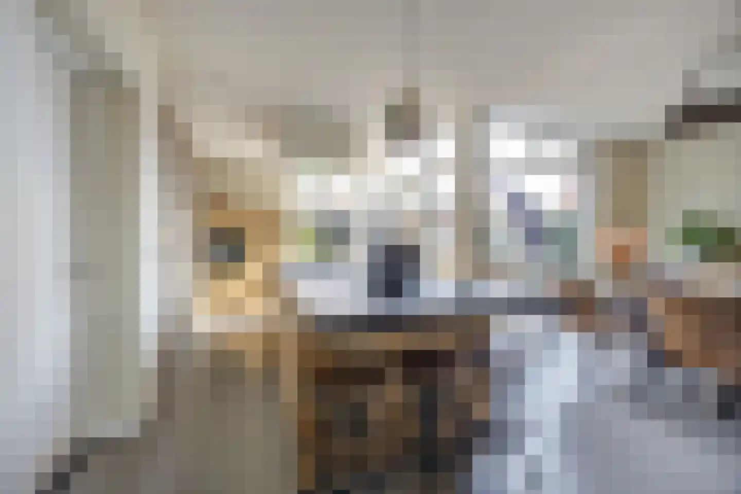 van Schendelstraat 4 Zegge thumbnail 16