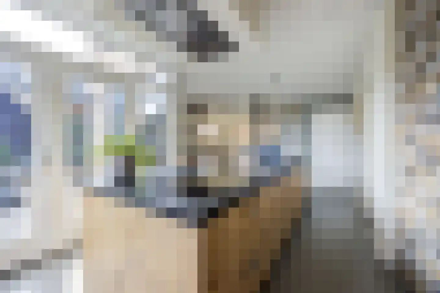 van Schendelstraat 4 Zegge thumbnail 17