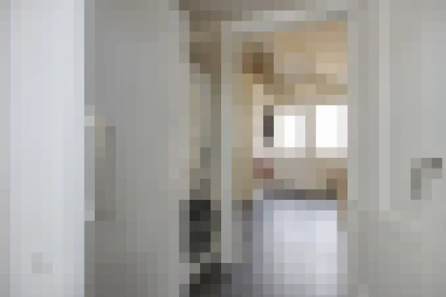 van Schendelstraat 4 Zegge thumbnail 19