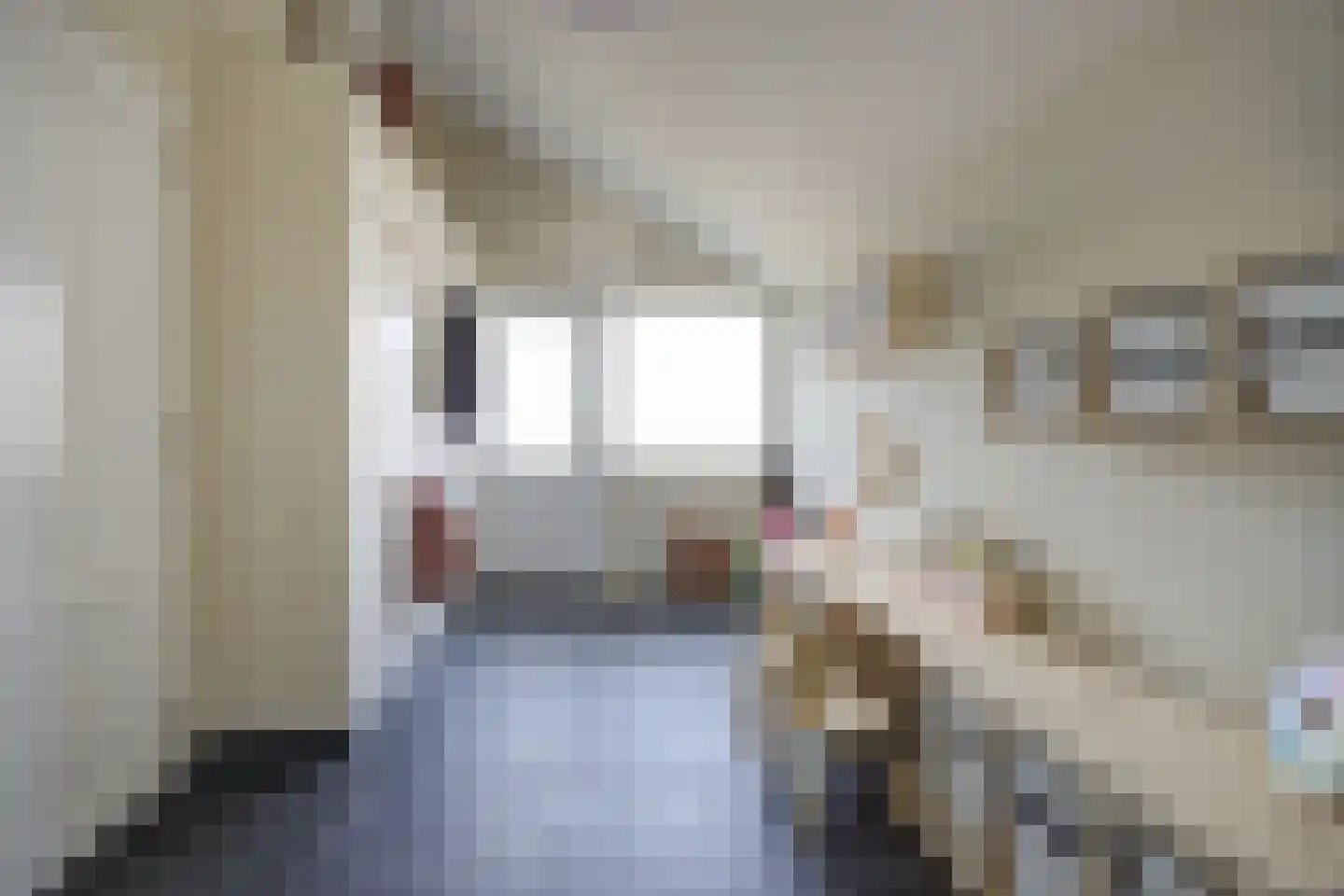 van Schendelstraat 4 Zegge thumbnail 20