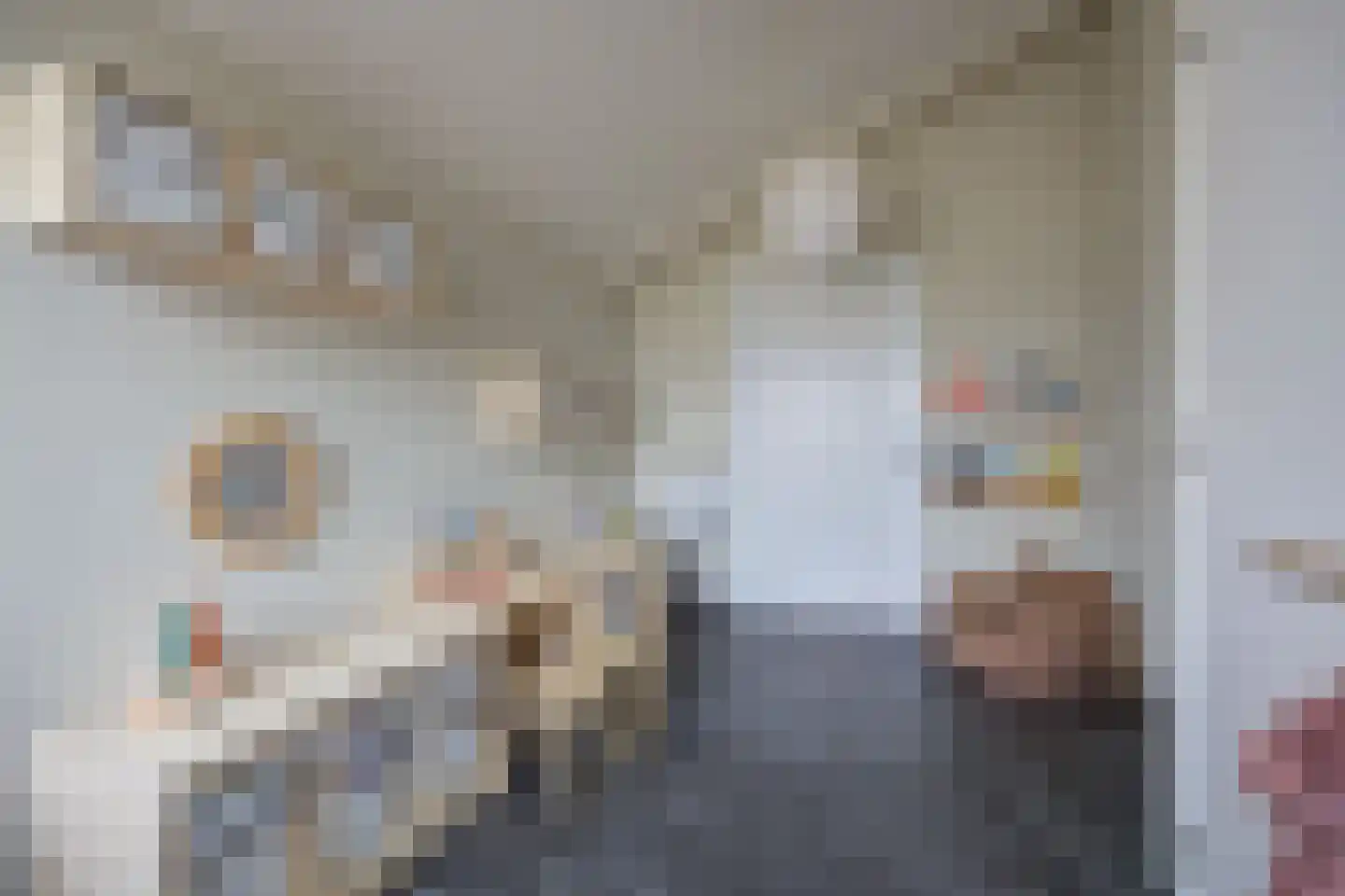 van Schendelstraat 4 Zegge thumbnail 21