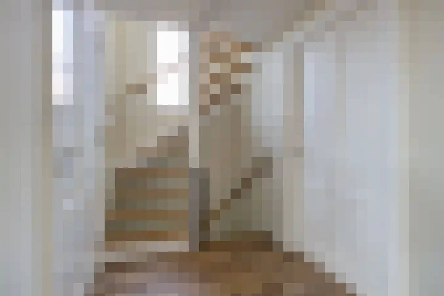 van Schendelstraat 4 Zegge thumbnail 22