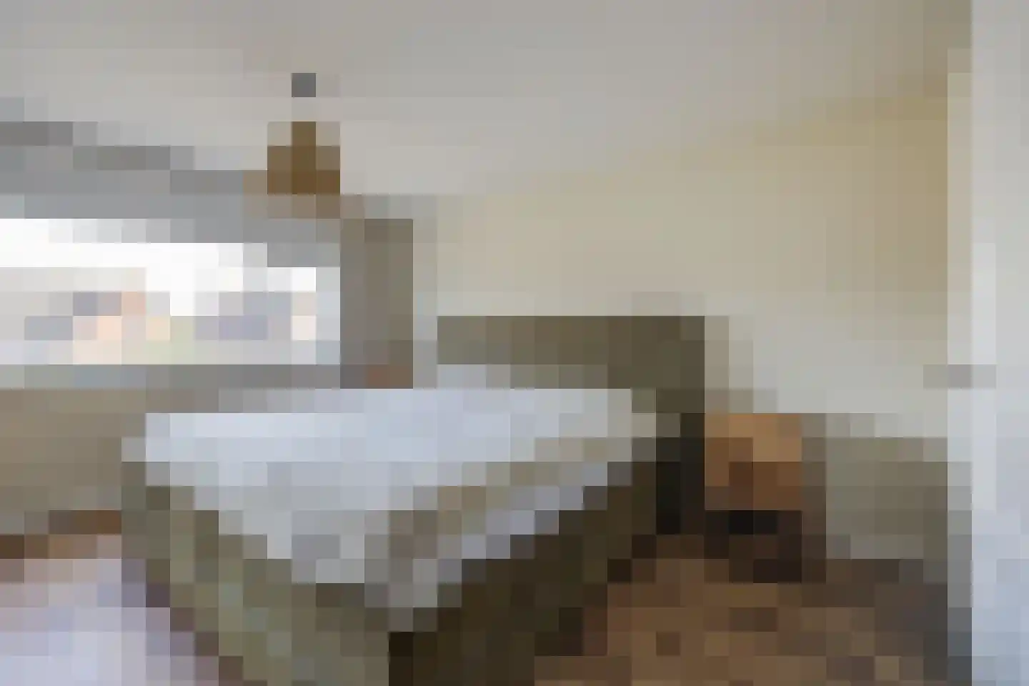 van Schendelstraat 4 Zegge thumbnail 23