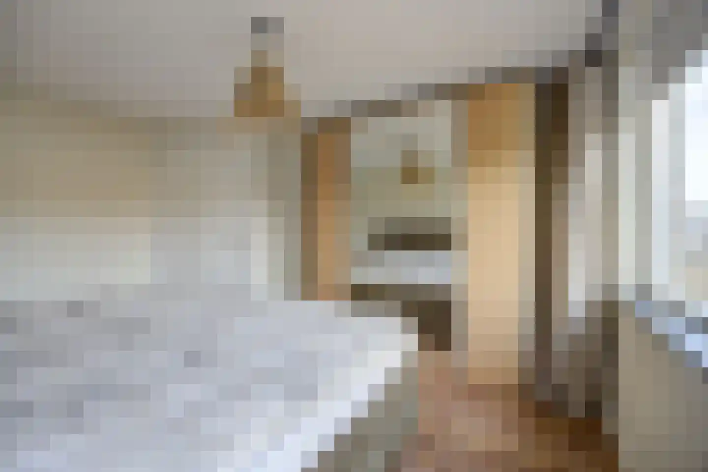 van Schendelstraat 4 Zegge thumbnail 25