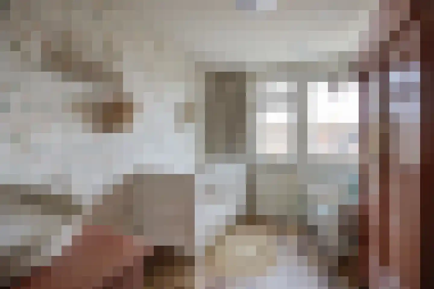 van Schendelstraat 4 Zegge thumbnail 26