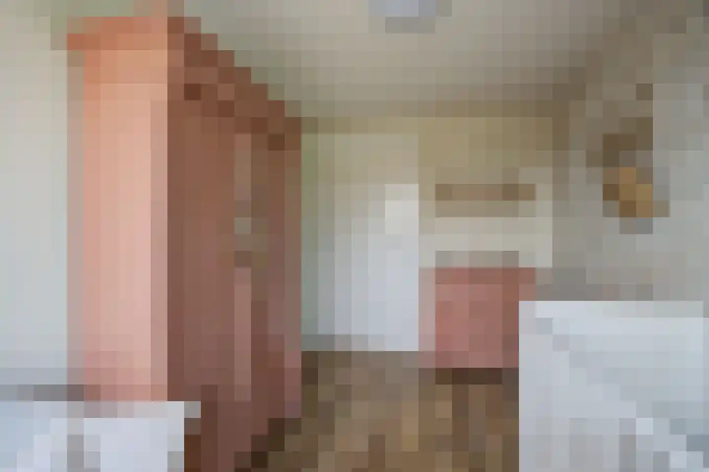 van Schendelstraat 4 Zegge thumbnail 27