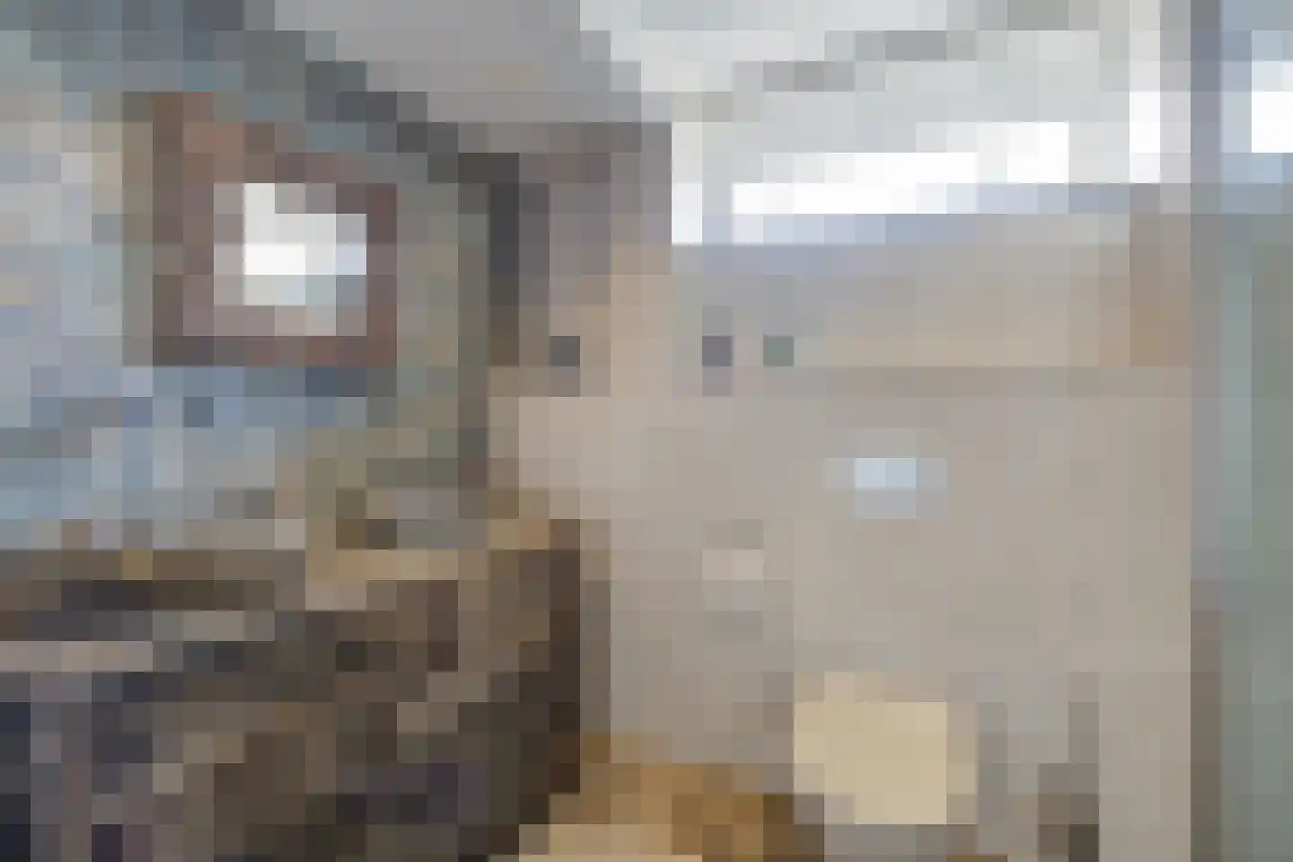 van Schendelstraat 4 Zegge thumbnail 30