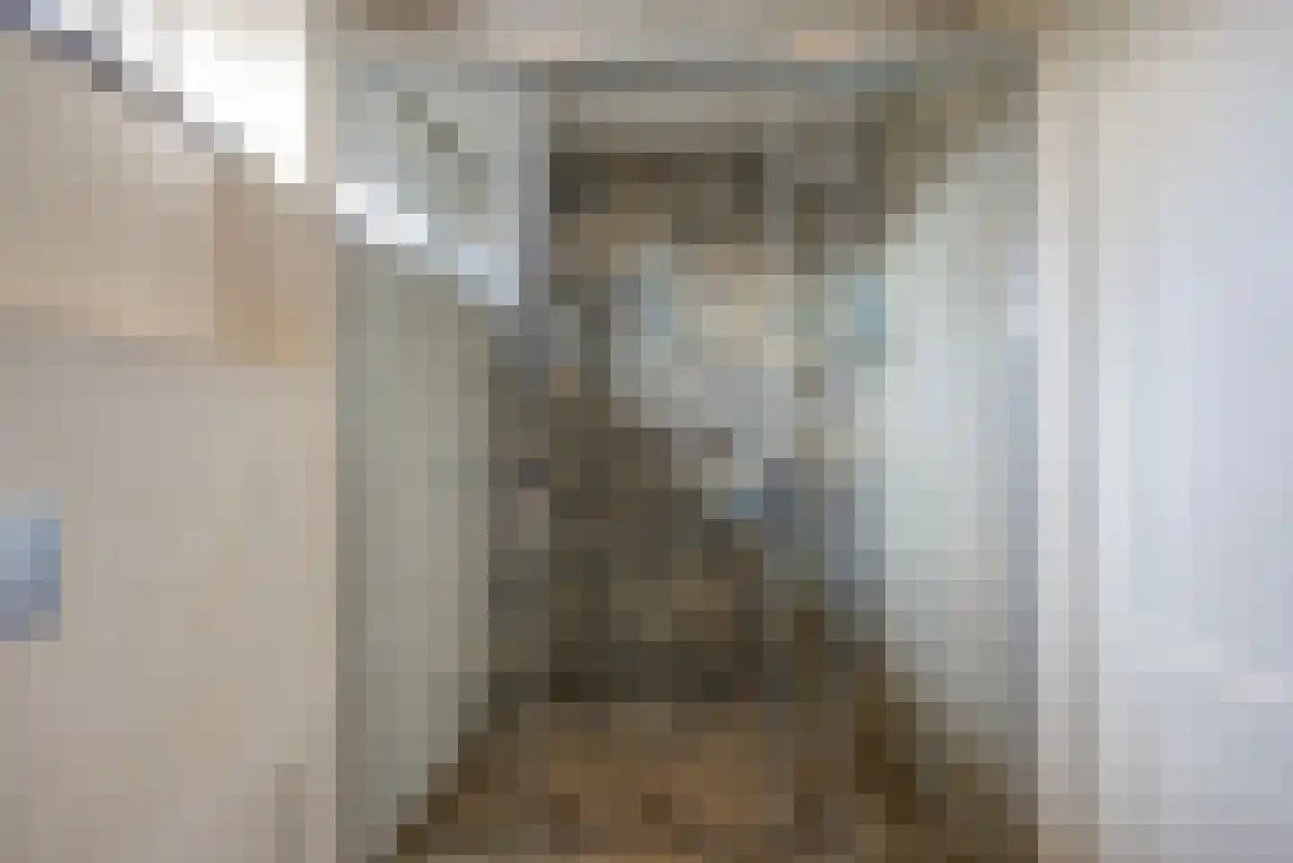 van Schendelstraat 4 Zegge thumbnail 31