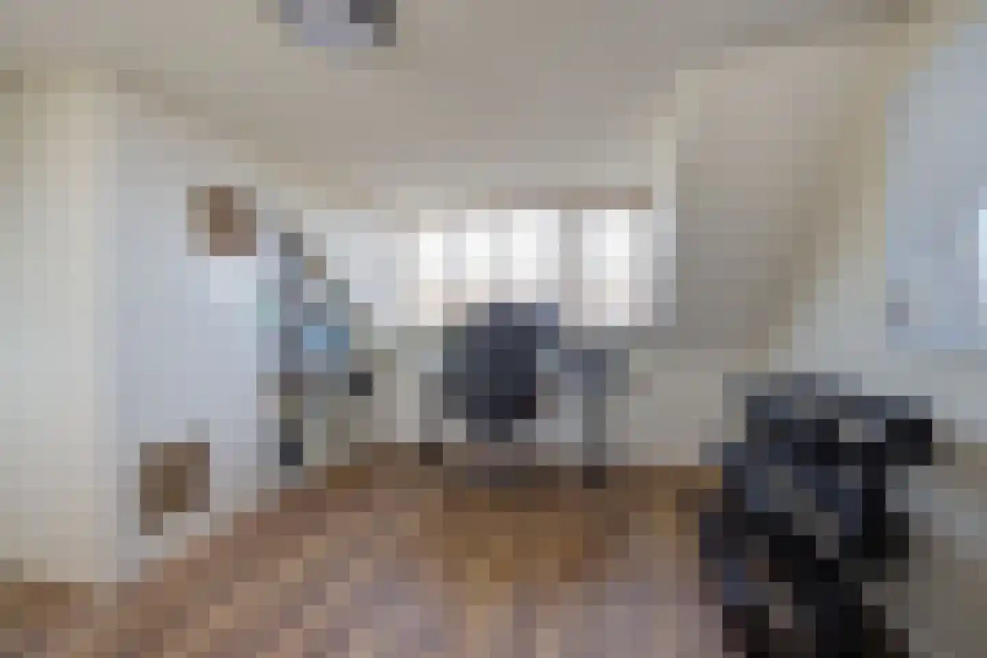 van Schendelstraat 4 Zegge thumbnail 35