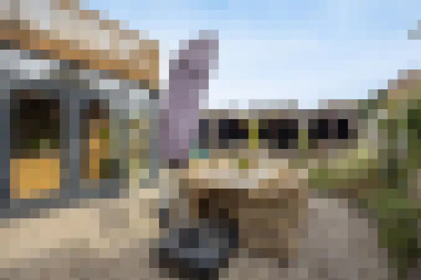 van Schendelstraat 4 Zegge thumbnail 36
