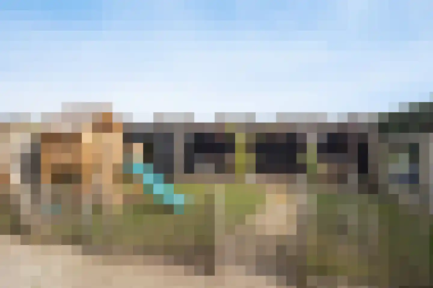 van Schendelstraat 4 Zegge thumbnail 38