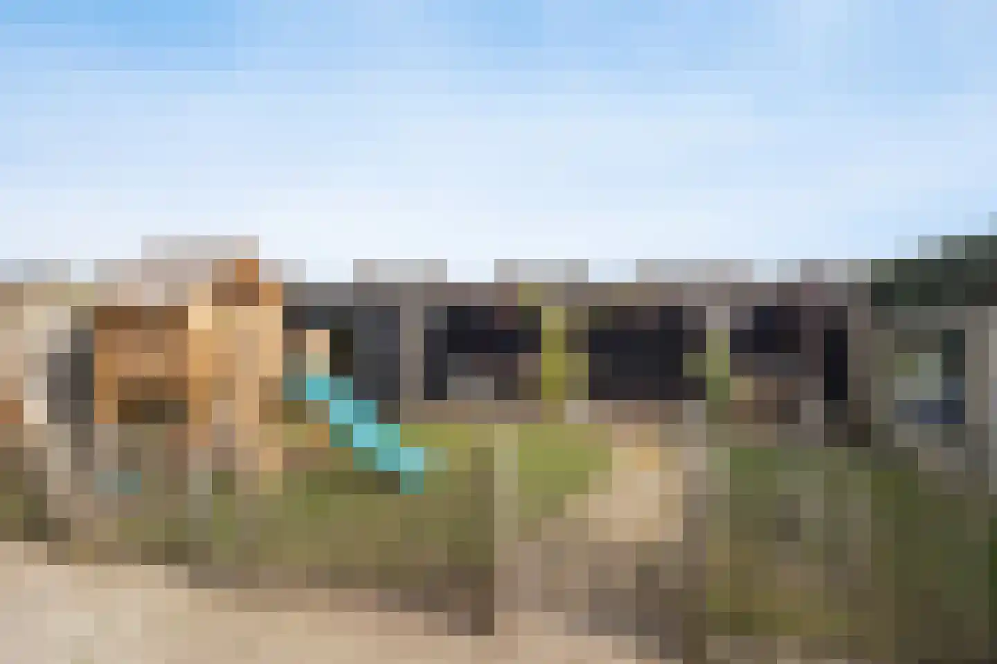van Schendelstraat 4 Zegge thumbnail 4