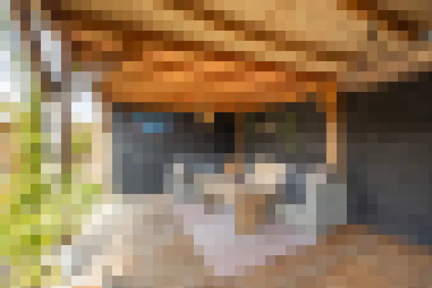 van Schendelstraat 4 Zegge thumbnail 41