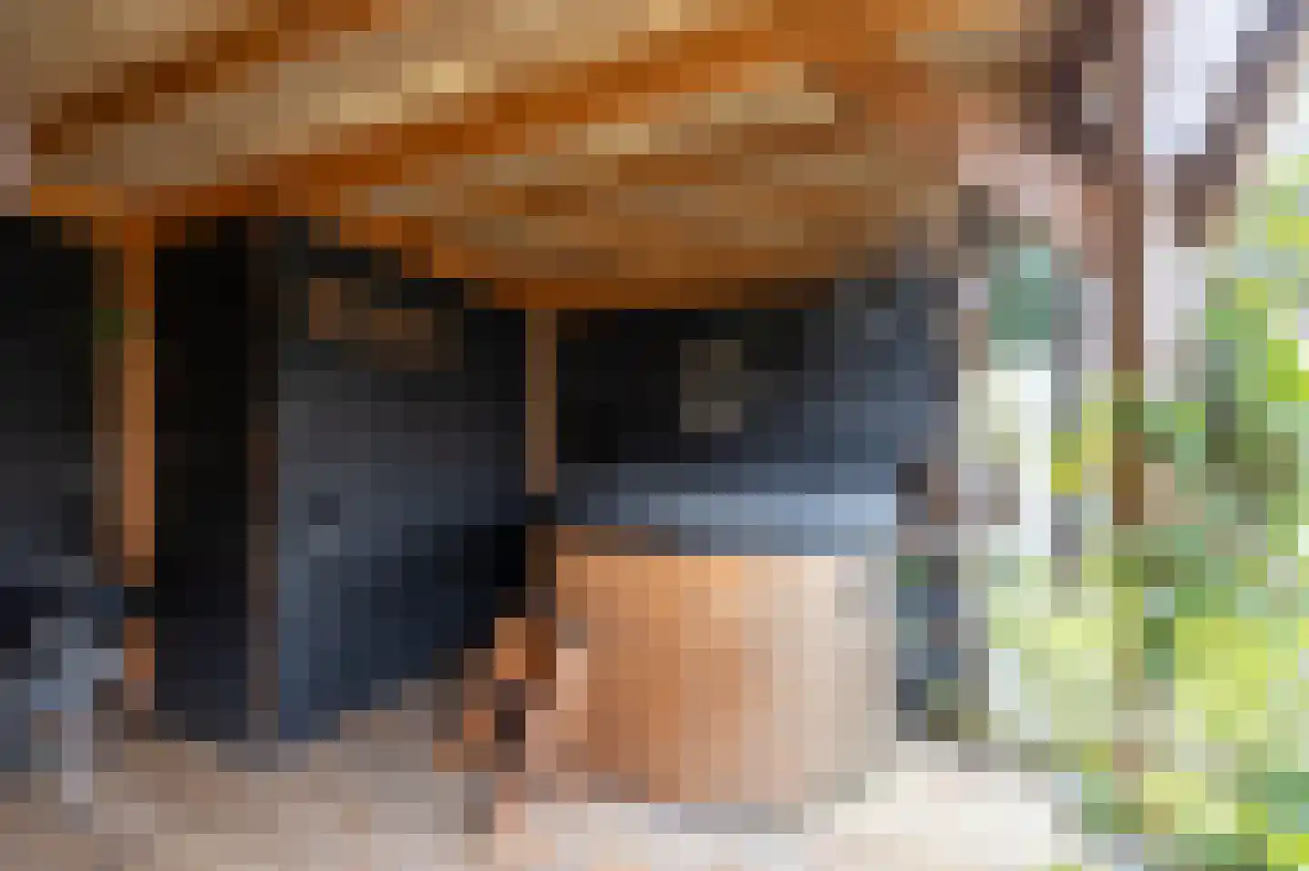 van Schendelstraat 4 Zegge thumbnail 42