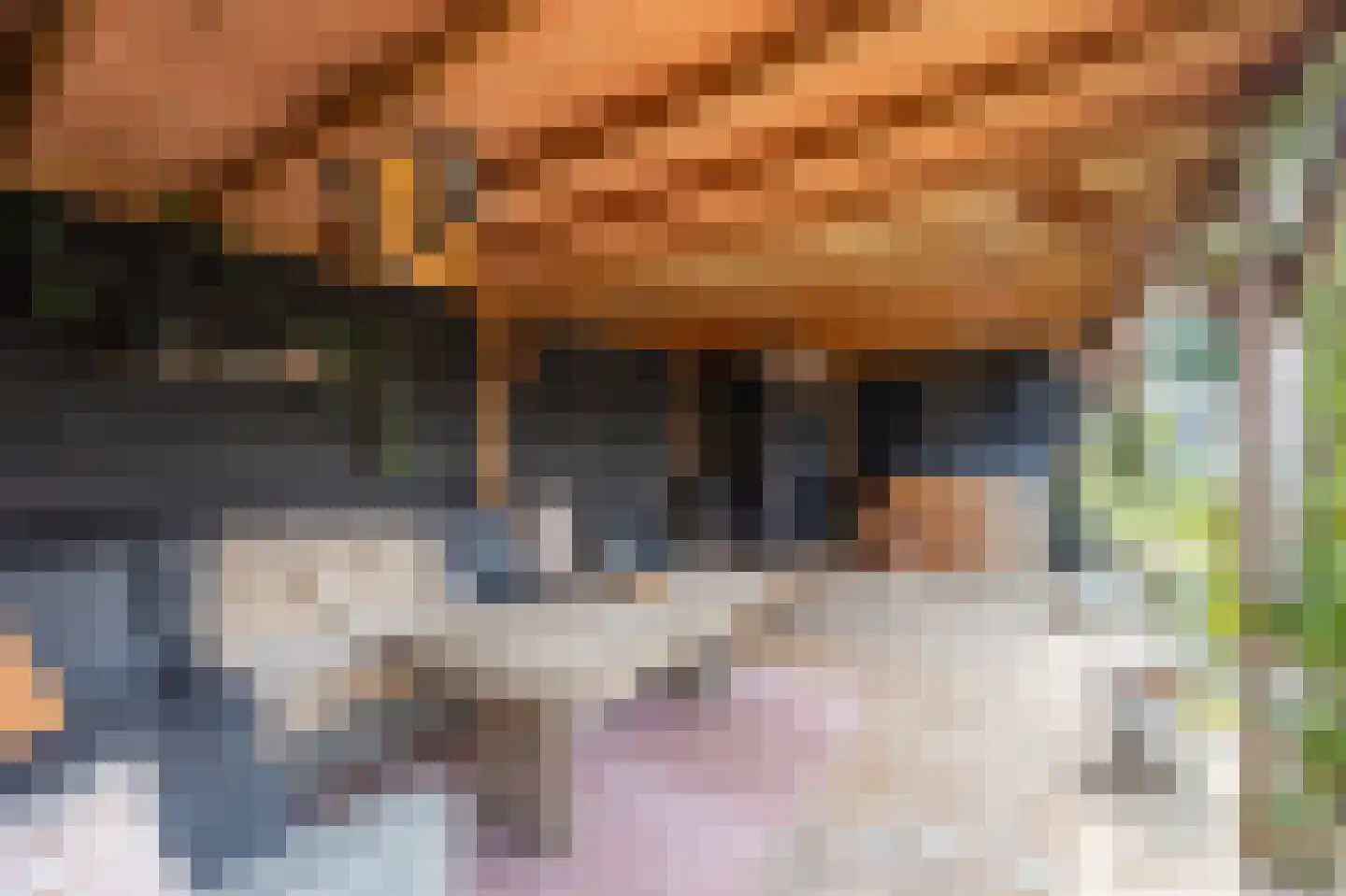 van Schendelstraat 4 Zegge thumbnail 43