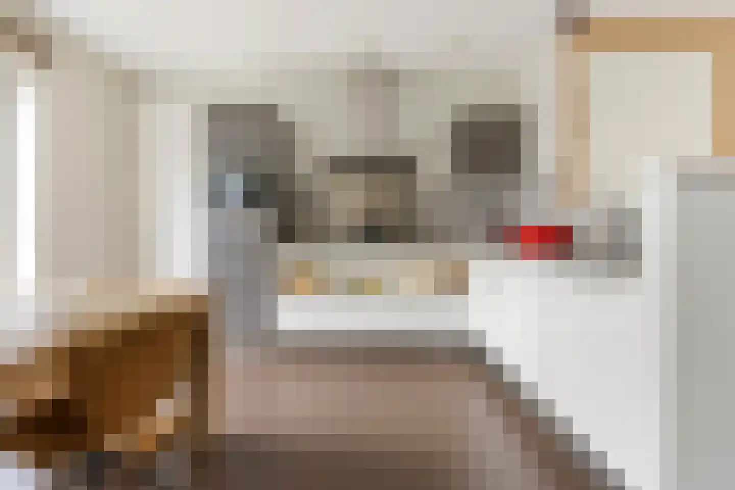 Van Schendelstraat 5 b Groningen thumbnail 13
