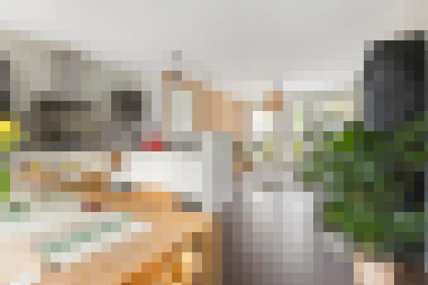 Van Schendelstraat 5 b Groningen thumbnail 14