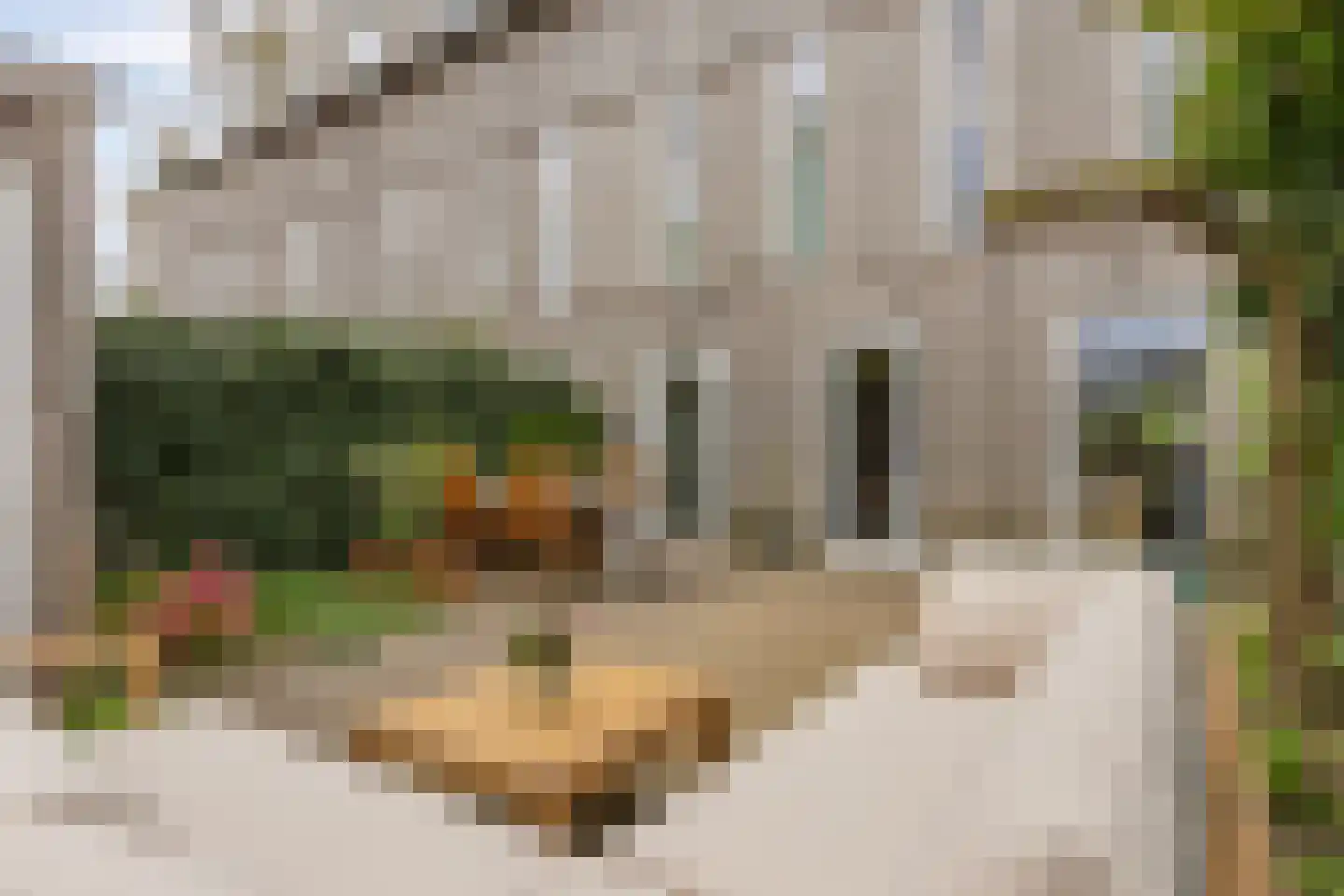 Van Schendelstraat 5 b Groningen thumbnail 38