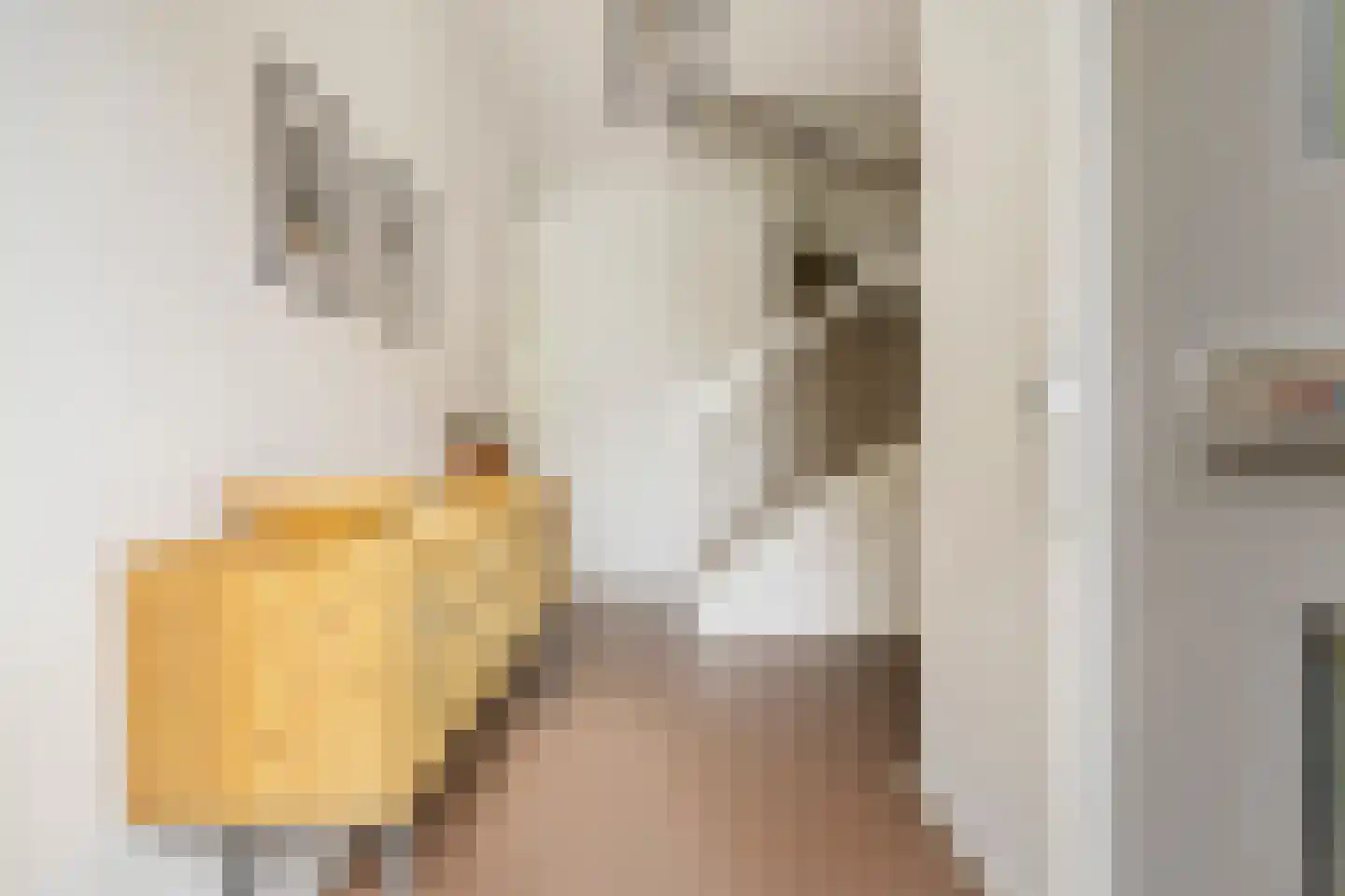 Van Schendelstraat 5 b Groningen thumbnail 6