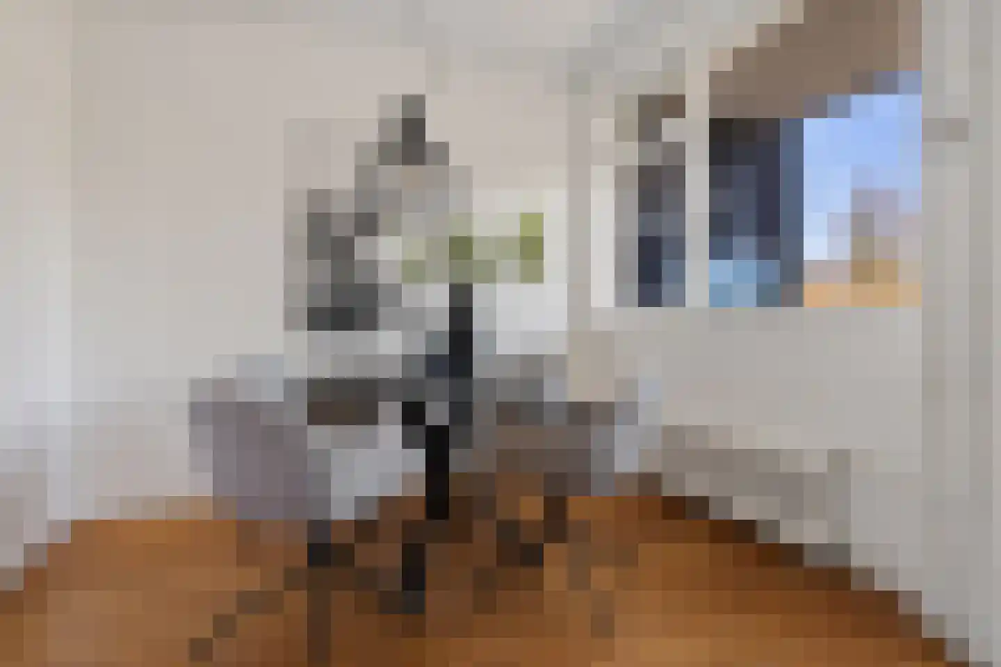 Van Schendelstraat 56 Groningen thumbnail 11