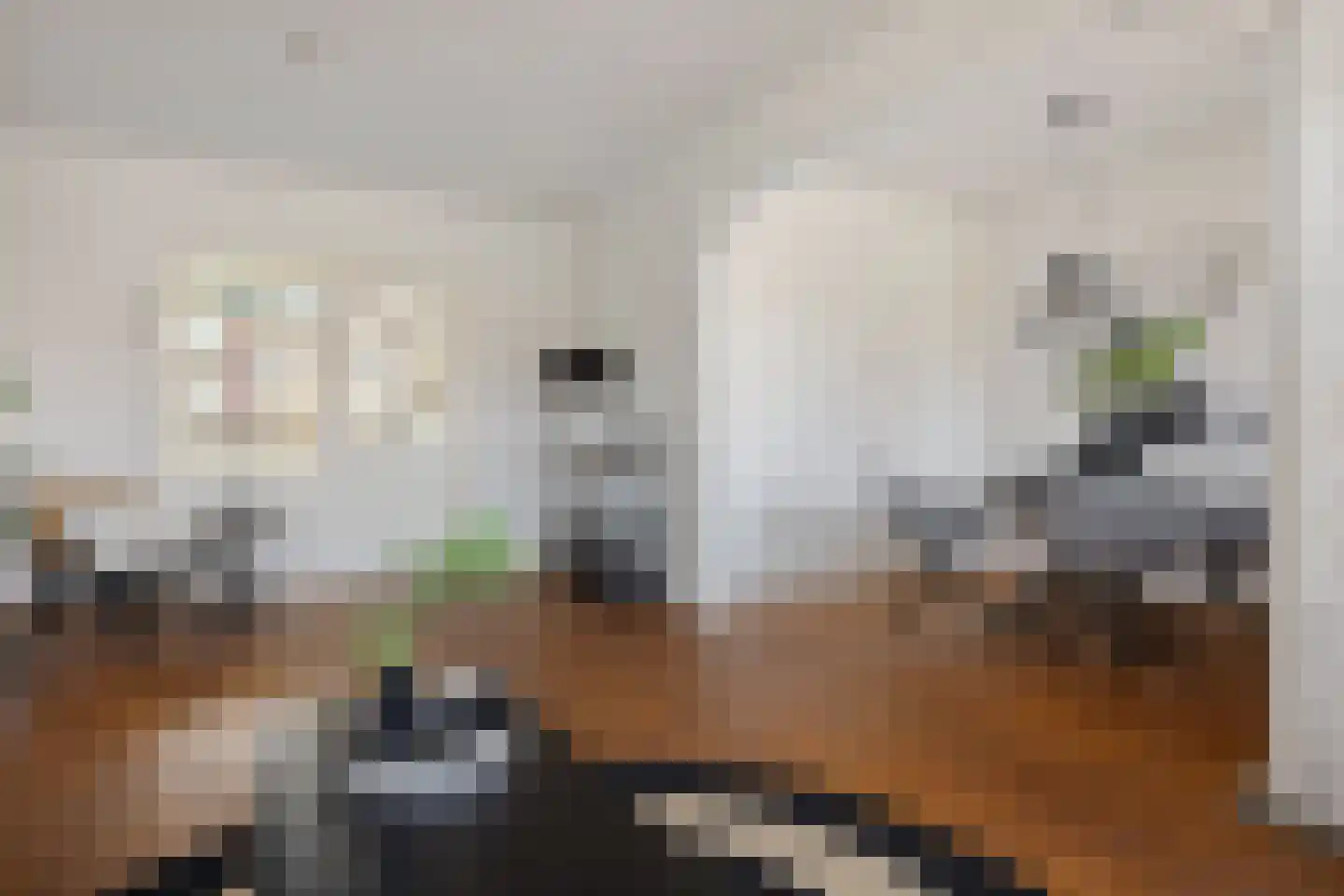 Van Schendelstraat 56 Groningen thumbnail 14