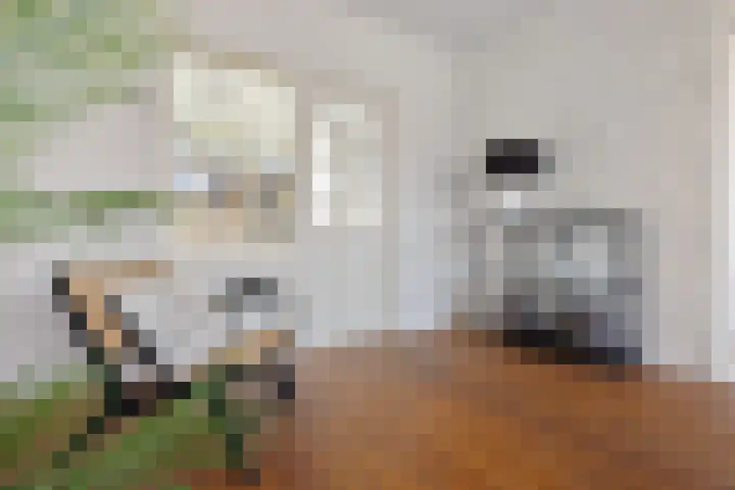 Van Schendelstraat 56 Groningen thumbnail 16