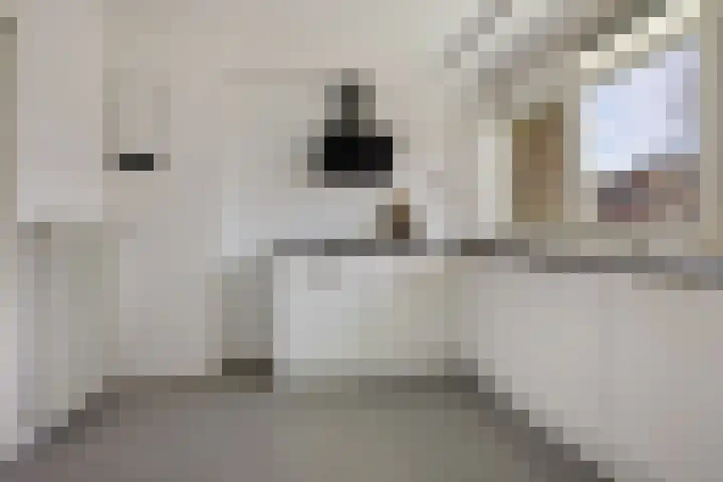 Van Schendelstraat 56 Groningen thumbnail 21