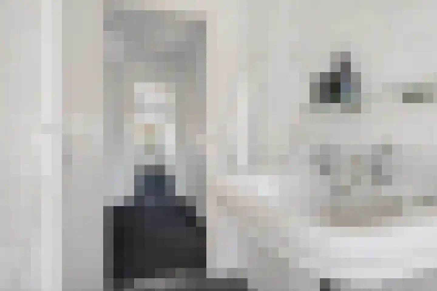 Van Schendelstraat 56 Groningen thumbnail 39
