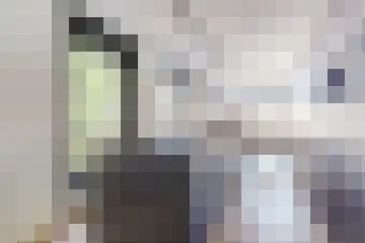 van Schevichavenstraat 3 M Nijmegen thumbnail 12