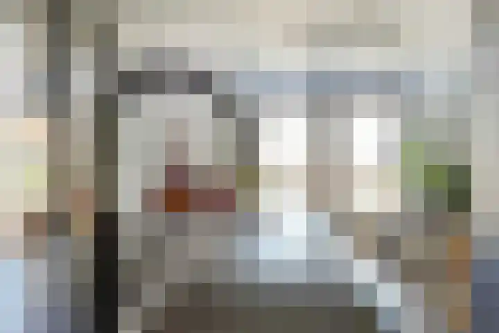van Schevichavenstraat 3 M Nijmegen thumbnail 15