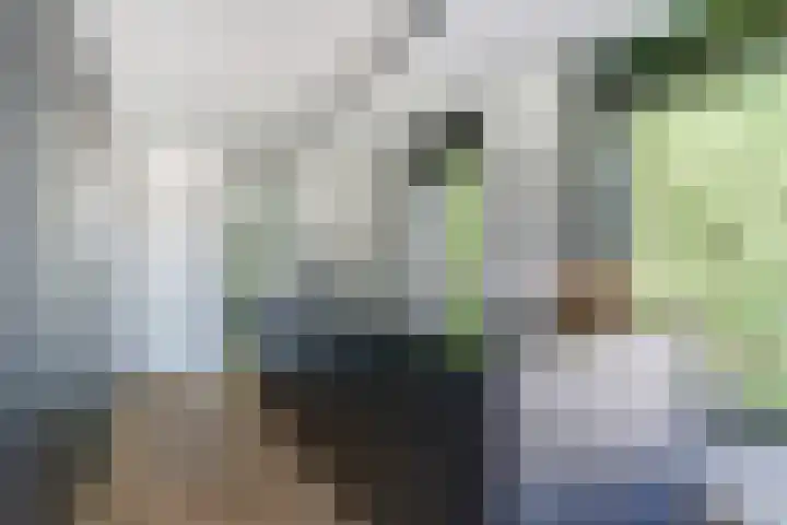 van Schevichavenstraat 3 M Nijmegen thumbnail 16