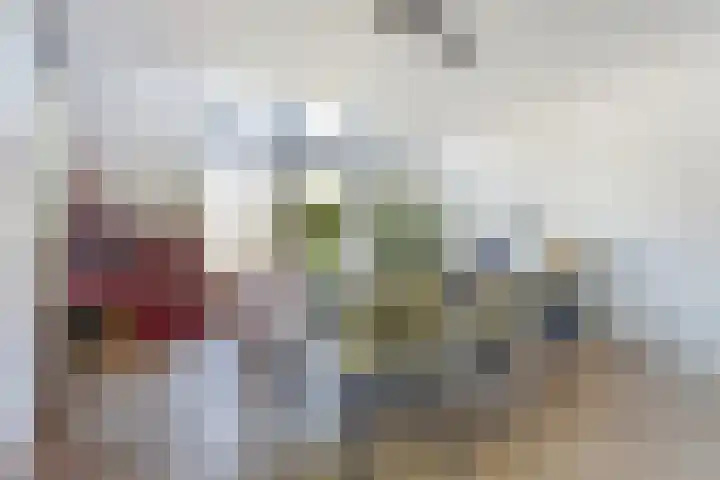 van Schevichavenstraat 3 M Nijmegen thumbnail 17