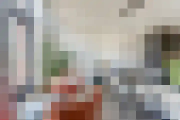 van Schevichavenstraat 3 M Nijmegen thumbnail 18