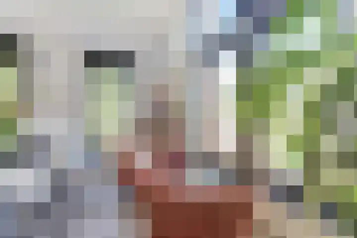 van Schevichavenstraat 3 M Nijmegen thumbnail 19