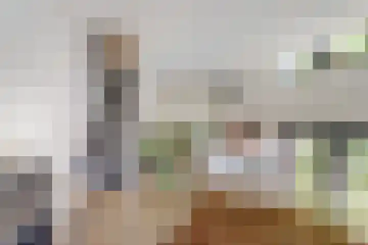 van Schevichavenstraat 3 M Nijmegen thumbnail 22