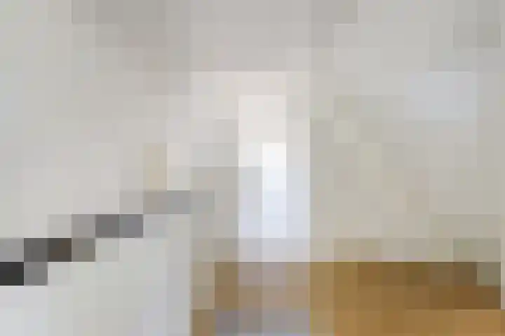 van Schevichavenstraat 3 M Nijmegen thumbnail 30